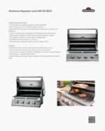 Blocke 1 VEGA con barbacoa Napoleon 500 32 INOX - Imagen 2